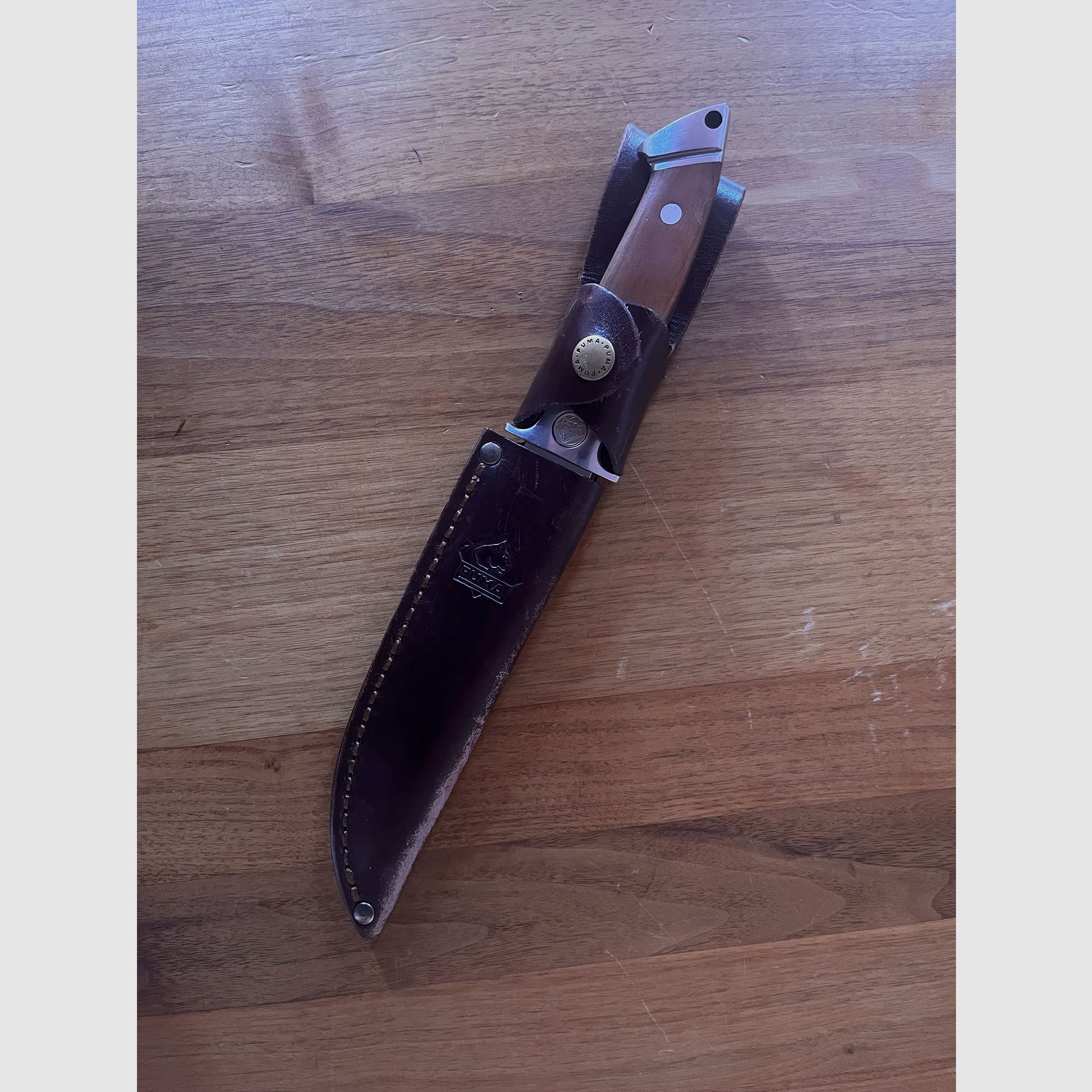 Puma Courgar Jagdmesser 