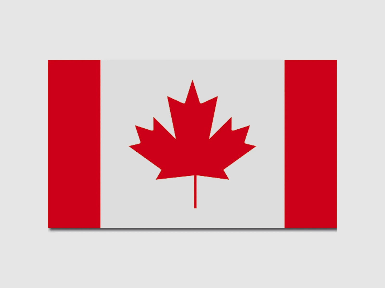 Diverse Flagge Kanada
