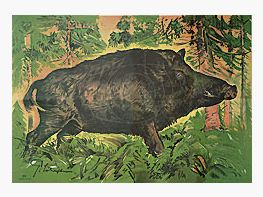 DJV Schießscheiben-Jagd Scheibe #2 Überläufer 100m