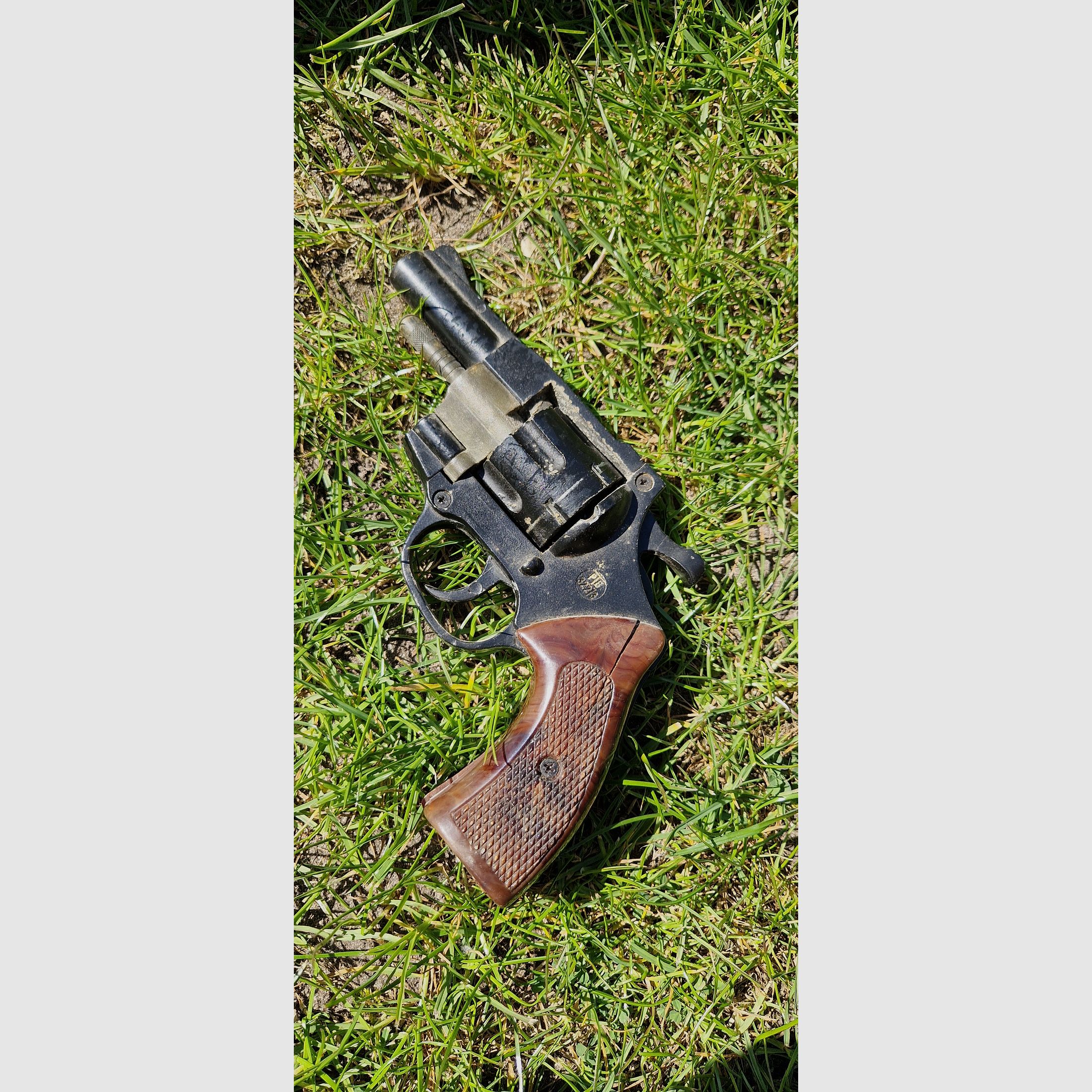 Umarex Model Champion