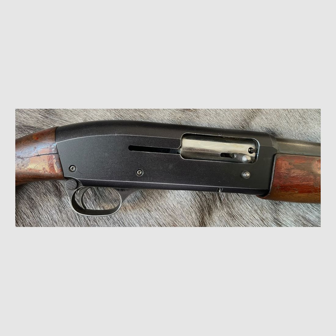 FLINTE MANUFRANCE PERFEX KAL 12/70 gebraucht (3054), Bild 7 von 11