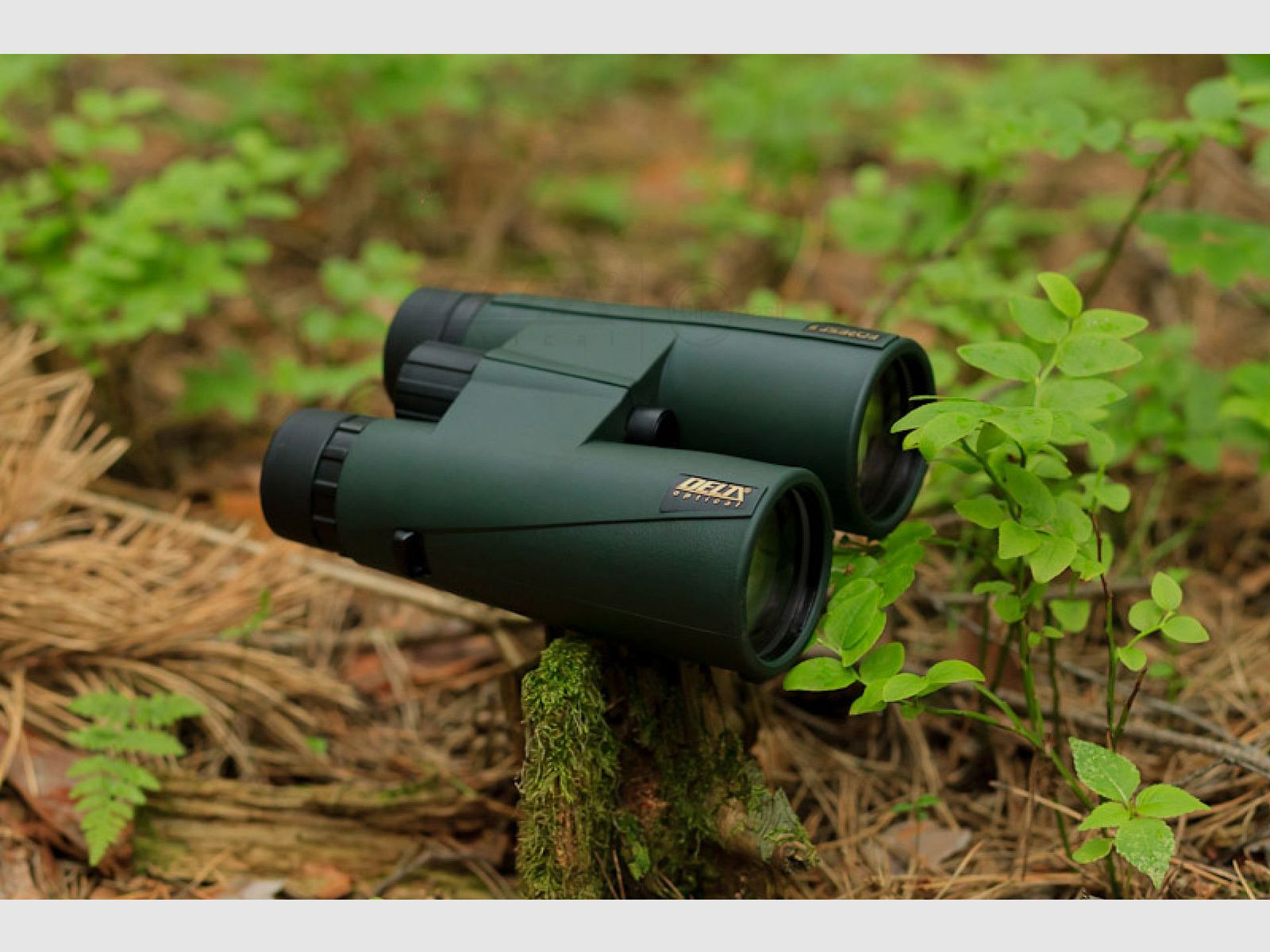 Lornetka Delta Optical Forest II 10x50, zdjęcie 3 z 10