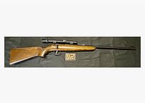 Anschütz without .22lr