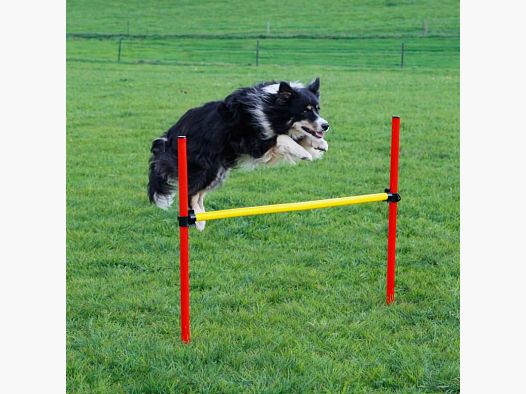 Complete Dog Agility Kit in 3 Parts
