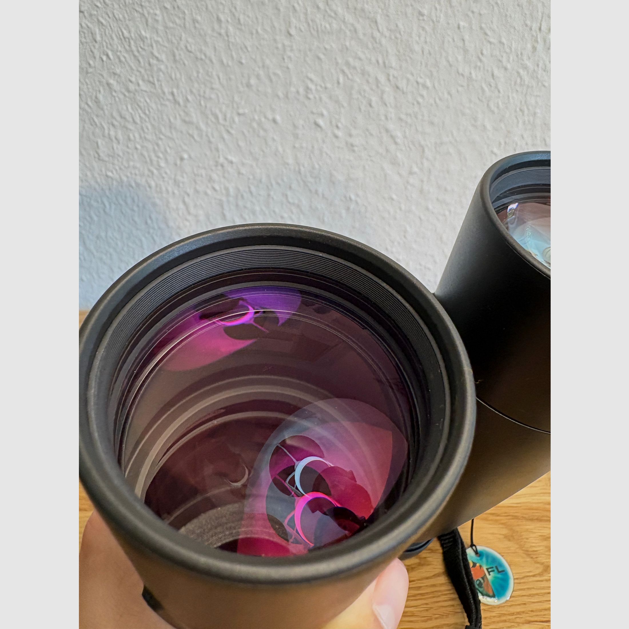 Fernglas Zeiss Victory 10x56 T* FL 