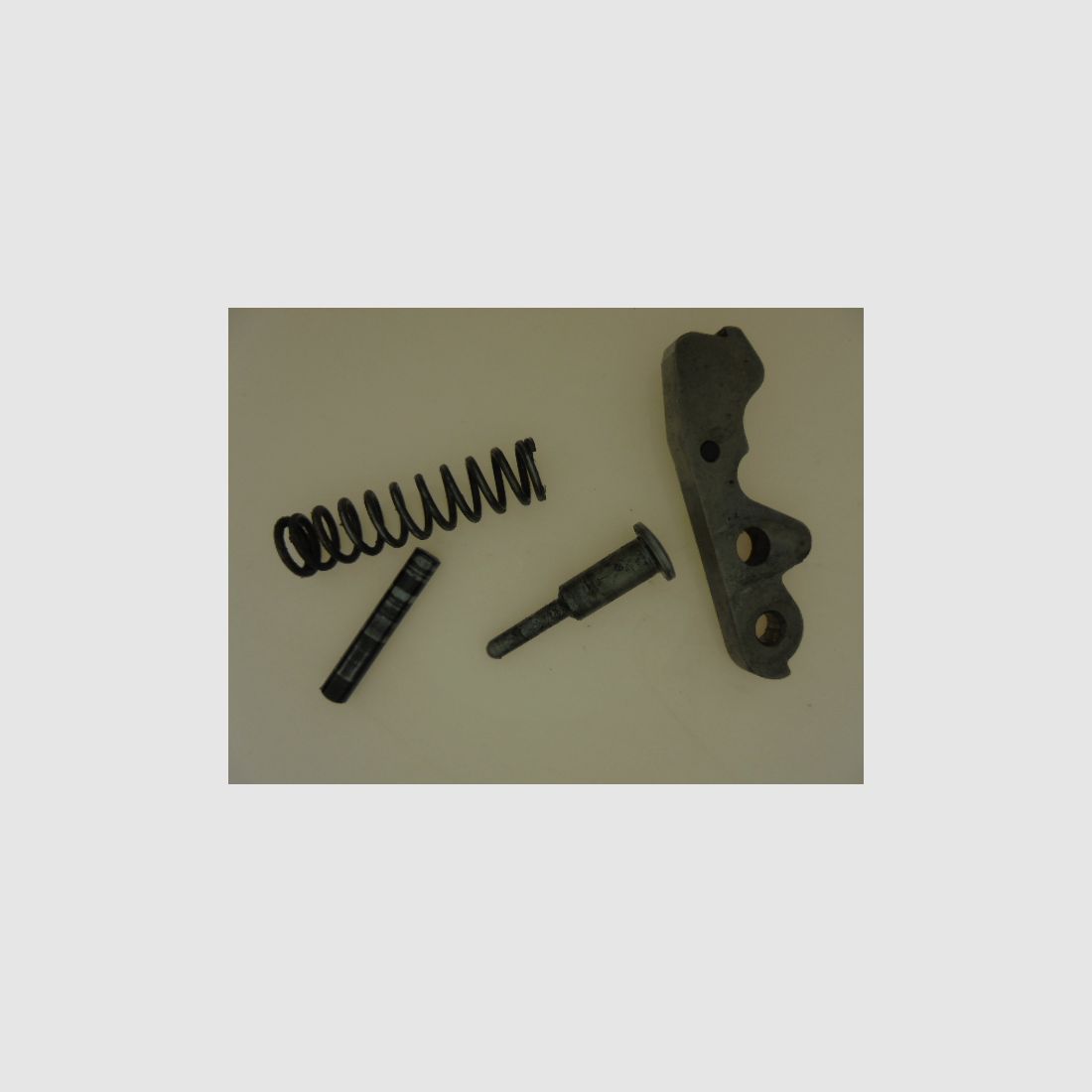 CHIEN BAIKAL MP153, image 2 sur 3