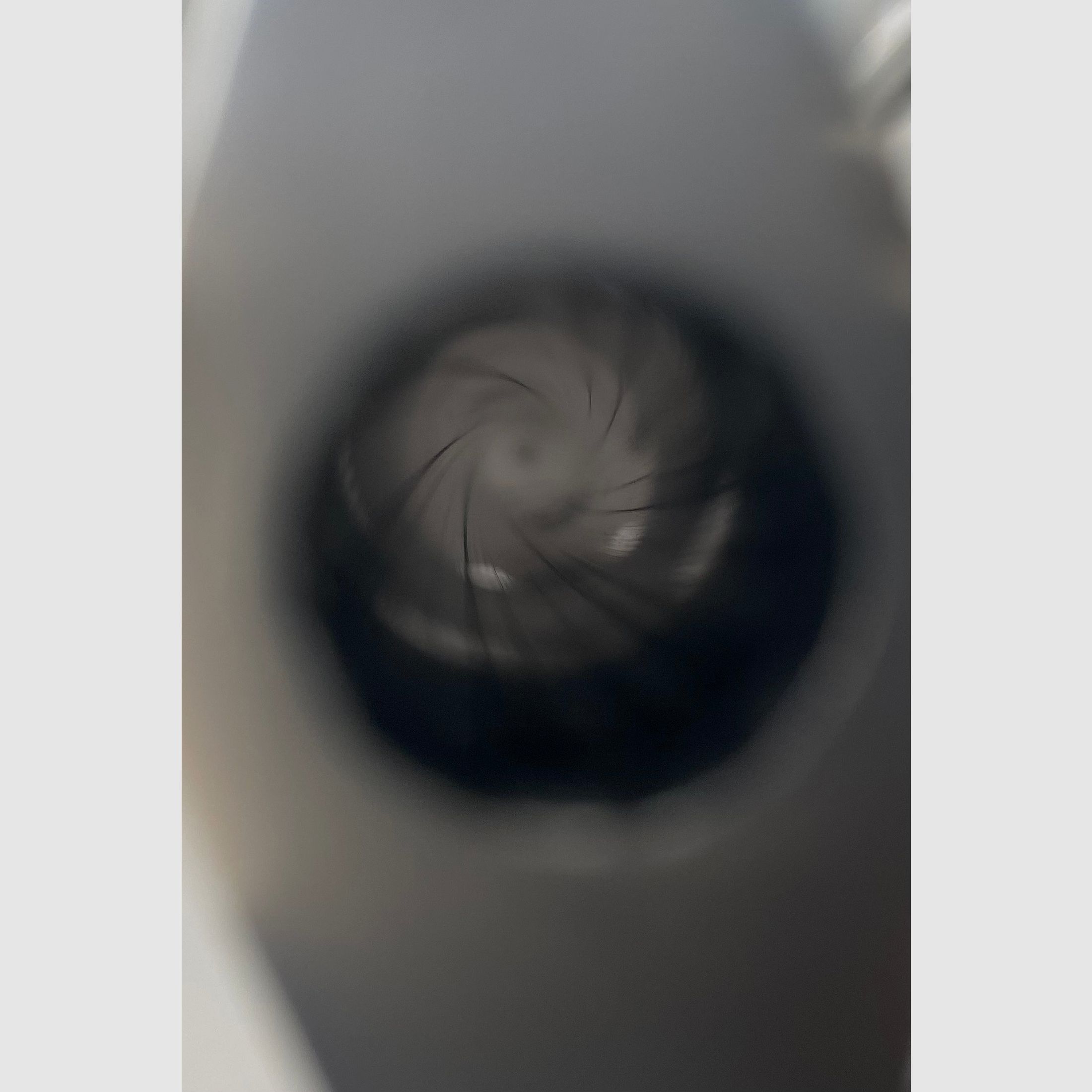 Taurus Raging Bull .454 Casull 6 1/2 Zolll