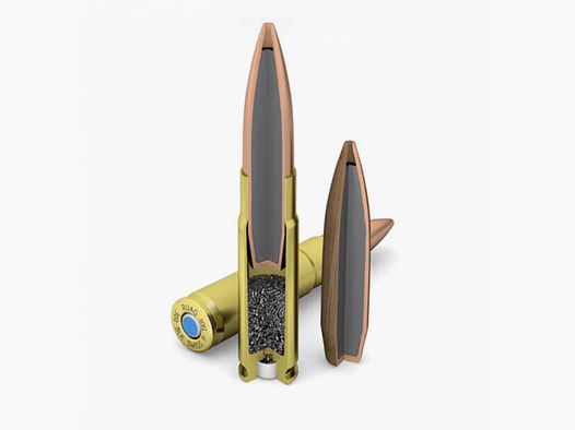 .300 BLK Swiss P HV 9,5g / 138gr
