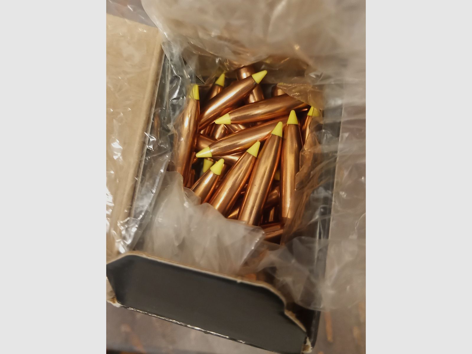 Nosler Geschoss Ballistic Tip