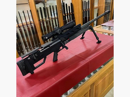 Steyr HS .50 M1