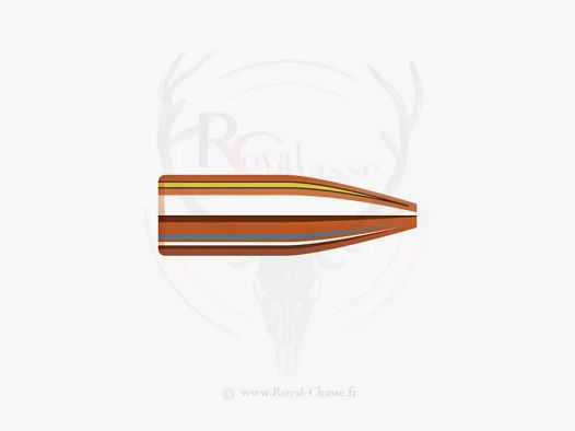 Carton de 6000 ogives Cal.22 D.224 53Grs HP MATCH HORNADY