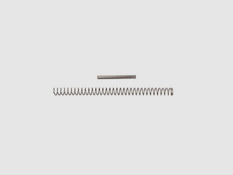 Schließfeder XP 22lr Conv.1911