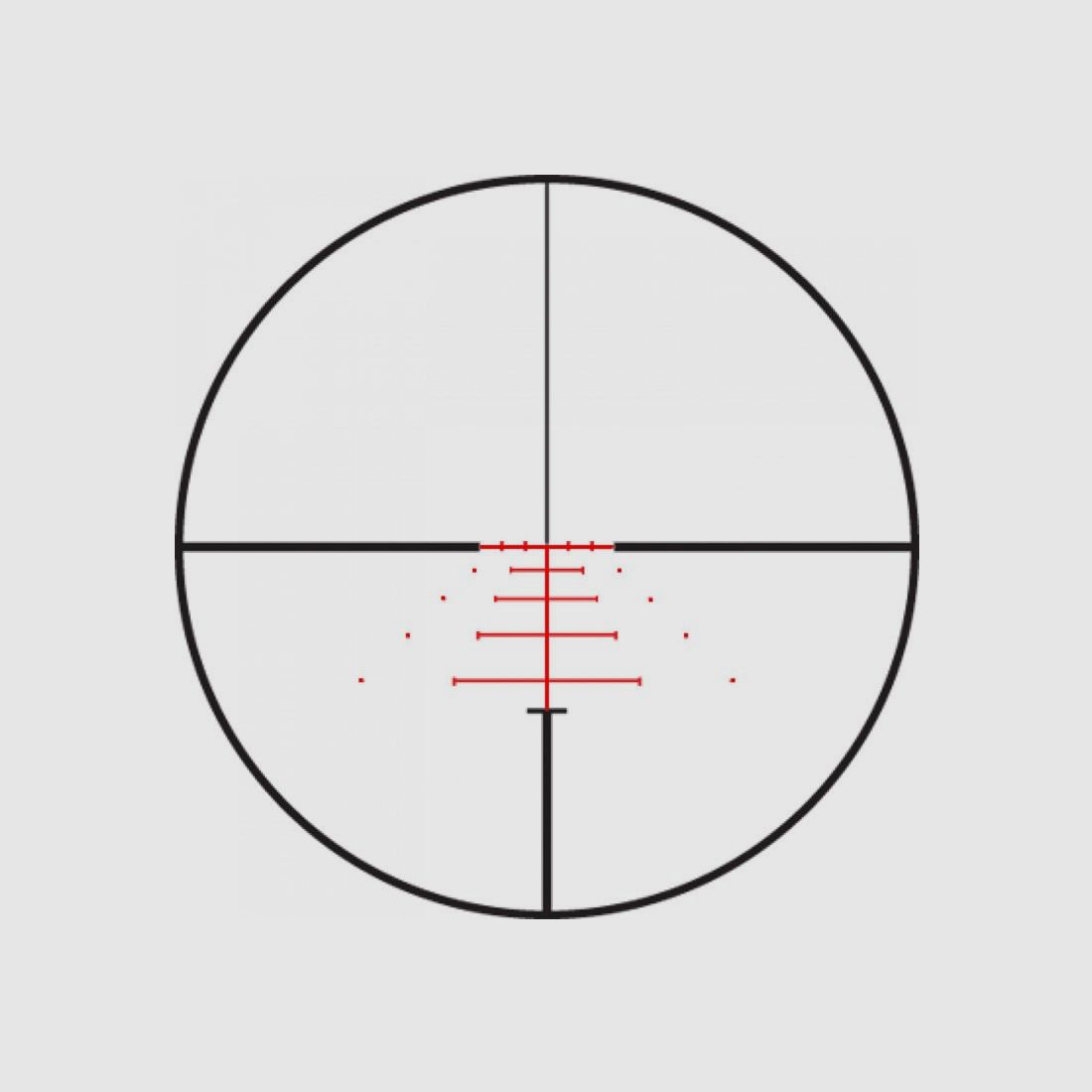 Zielfernrohr LEUPOLD VX-6HD 4-24×52 CDS-ZL2 Side Focus Varmint Hunter, Bild 6 von 6