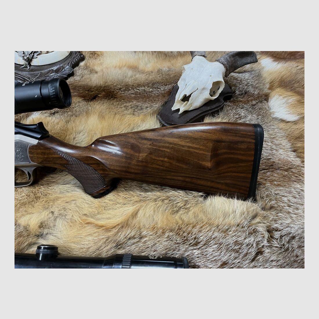 Blaser R93