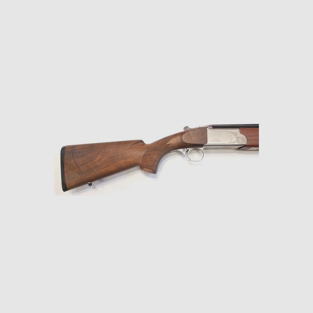 Rottweil used weapon Paragon