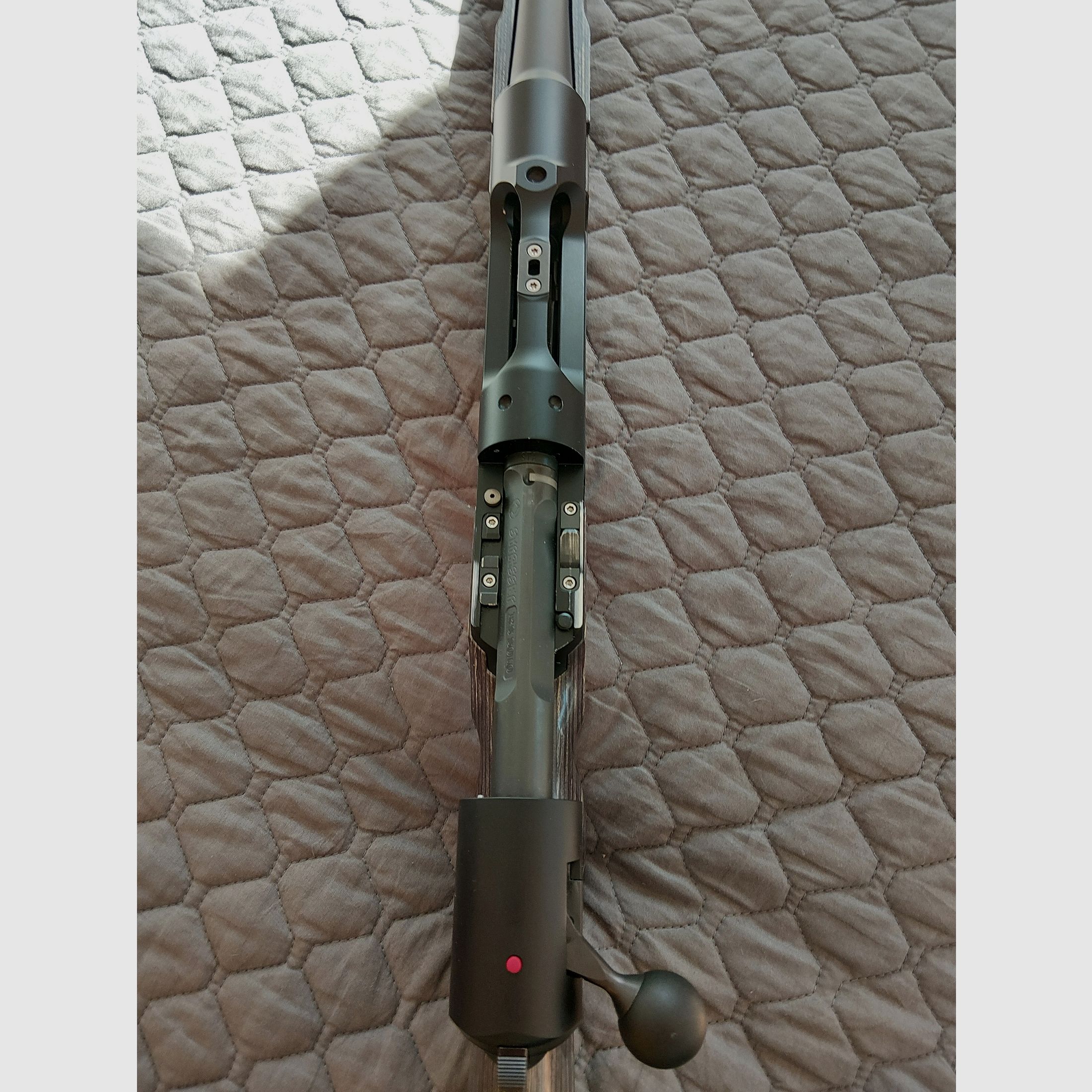 Strasser RS Solo Tahr