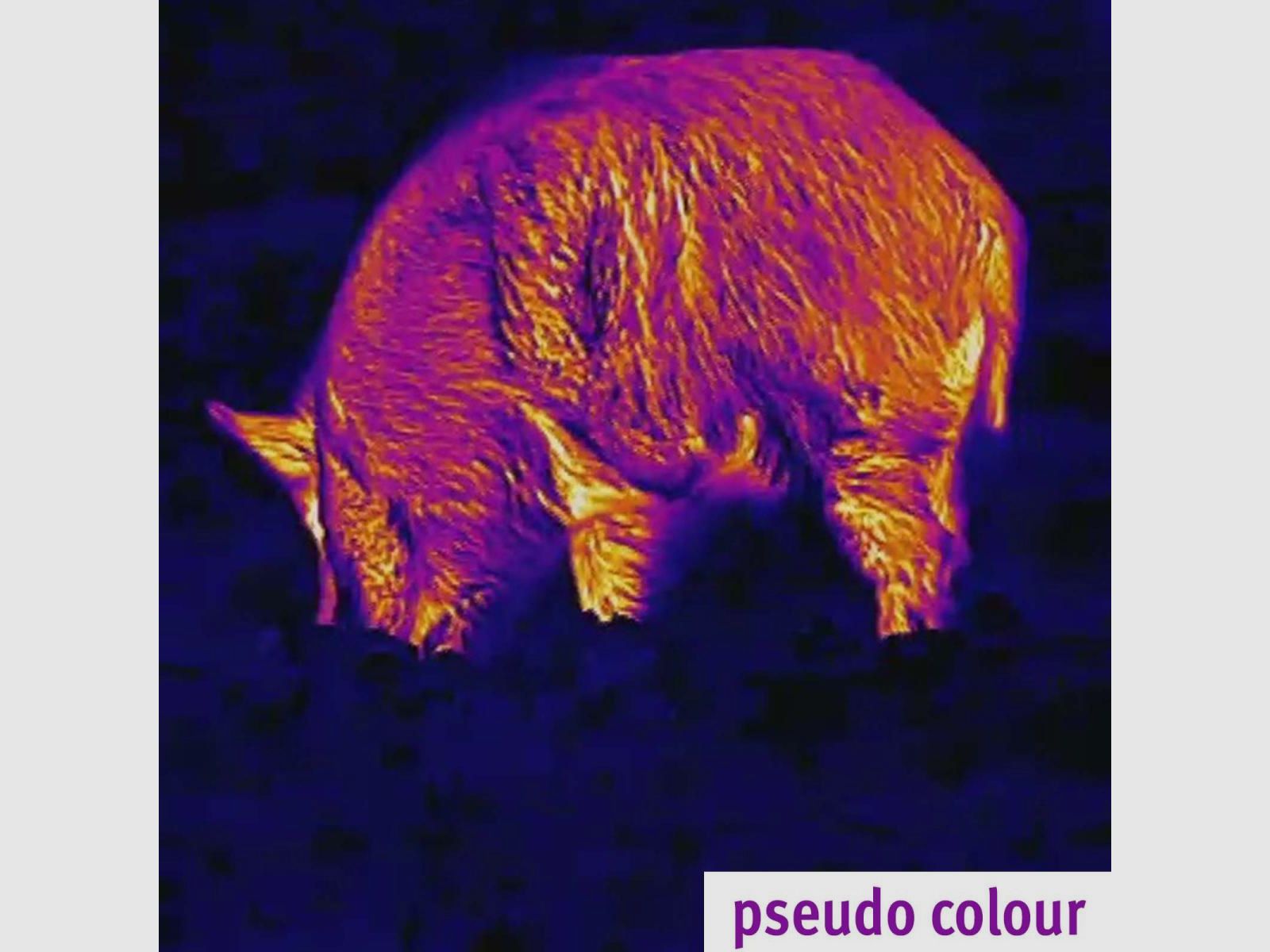 Lahoux Spotter 35 warmtebeeldcamera