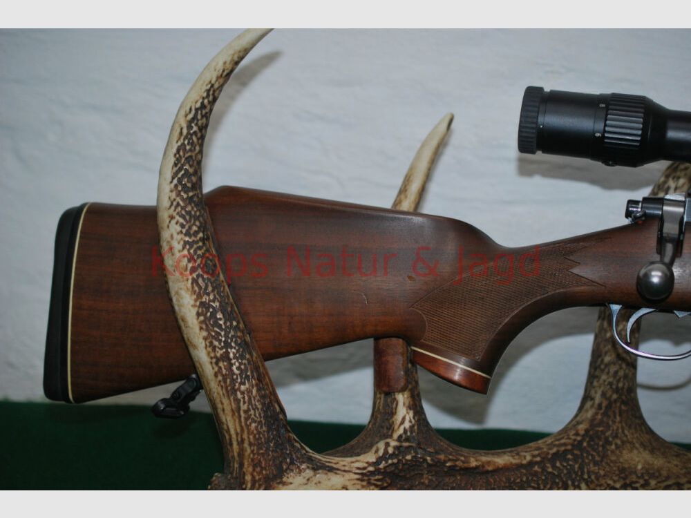 Tikka M 55