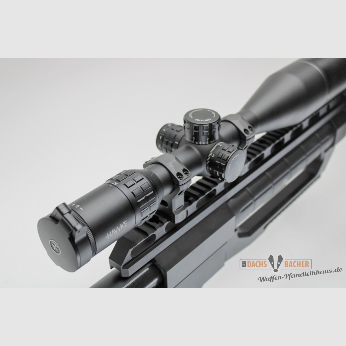 EL Büchse Fortmeier M2002 Kal. .50 BMG mit Hawke 5-25x56