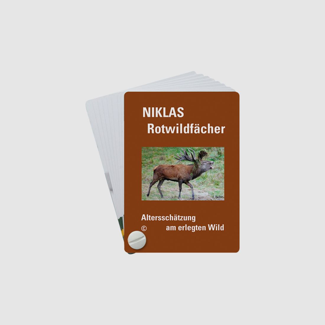 NIKLAS Altersschätzfächer Rotwild