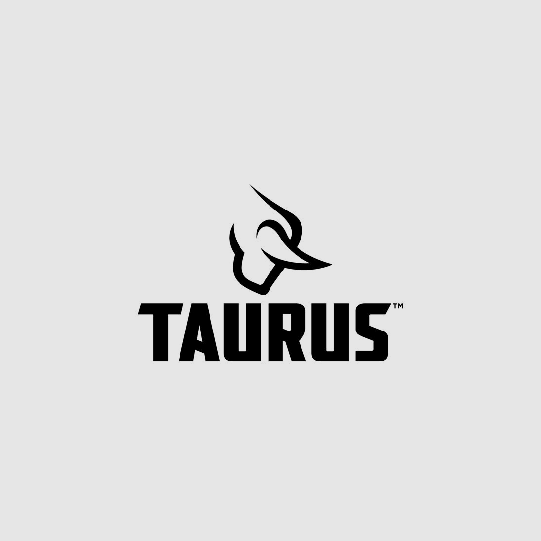 Taurus Pistole Taurus PT 92 AF - D RAIL Schwarz matt brüniert 9mmLuger