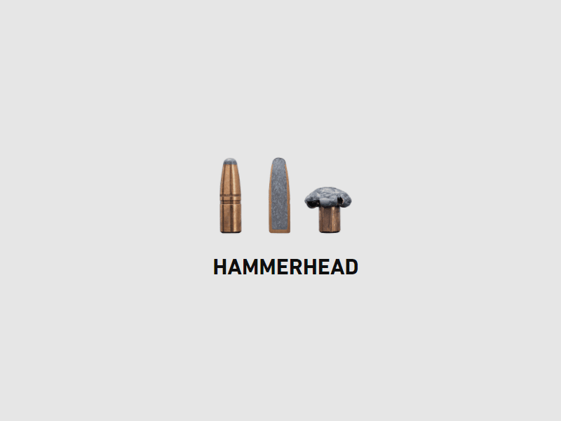 Sako .30-06 Hammerhead 220gr.- 20Stk