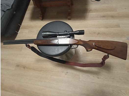 Blaser es 67