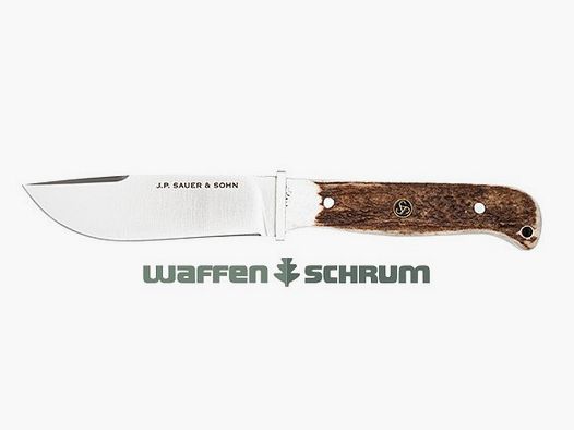 Sauer Jagdnicker Hirschhorn Klingenlänge: 12,5cm - D2-Stahl