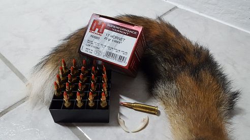 Das Kaliber .17 Hornet sowie die Hornady NTX und V-Max