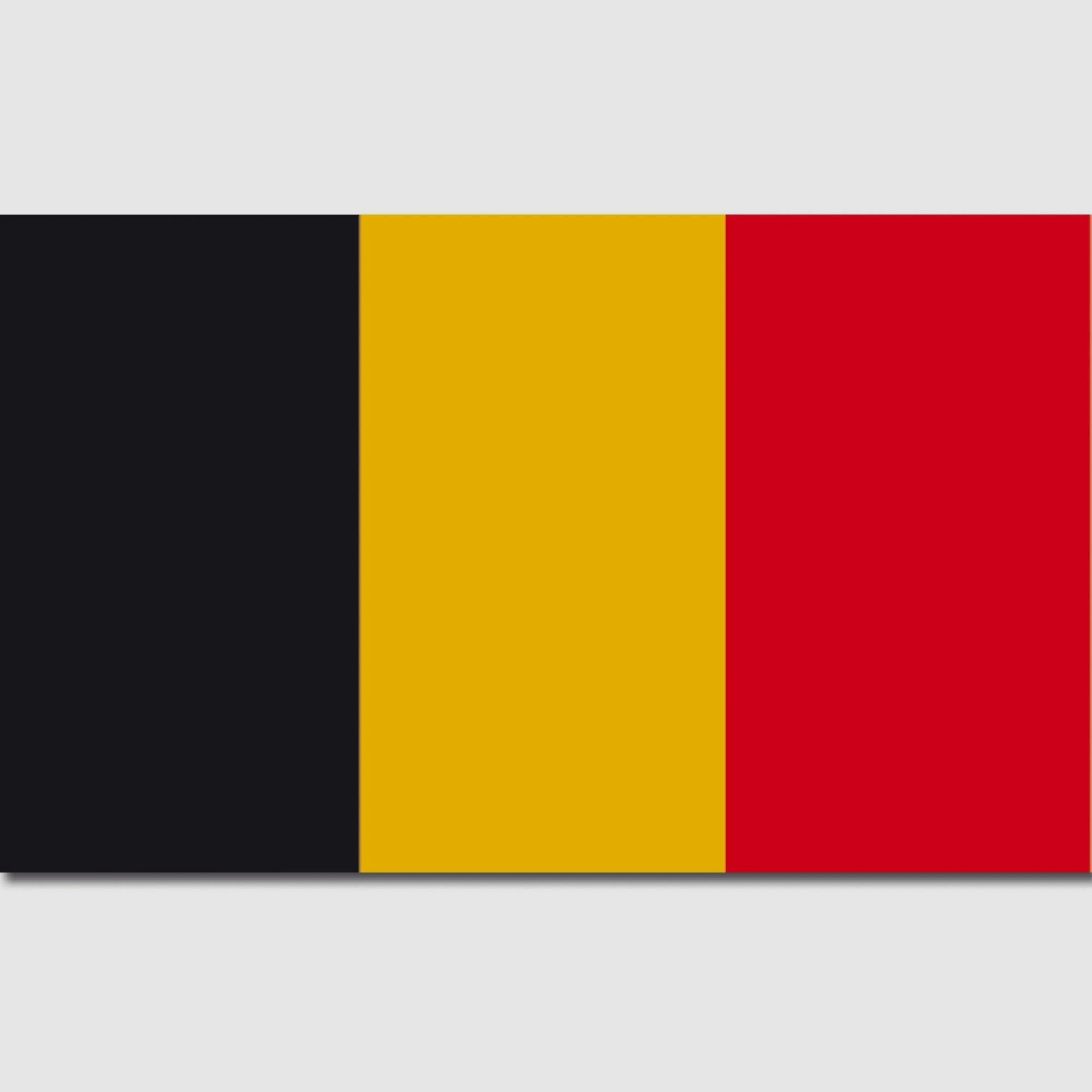 Diverse Flagge Belgien