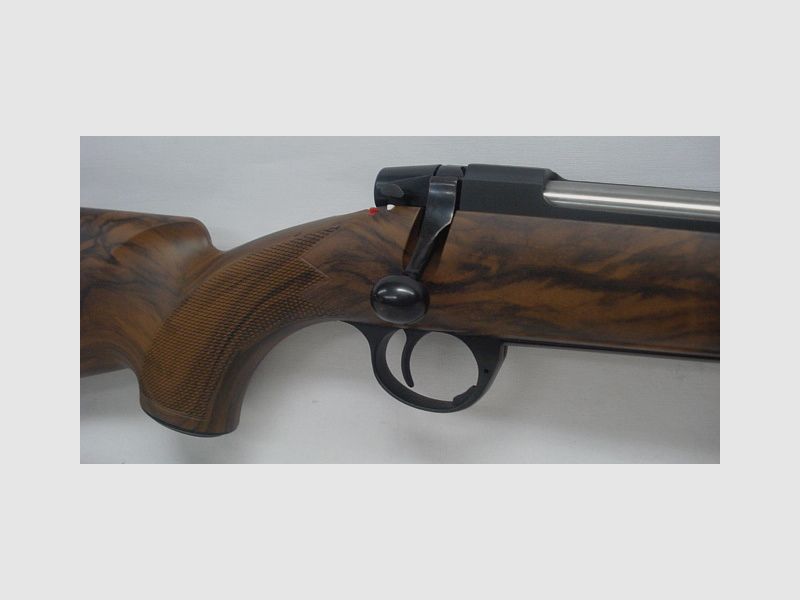 870 LL56 mV - .30-06Spring, GFK Wood