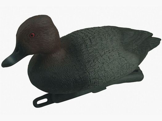 Pato Porrón hembra