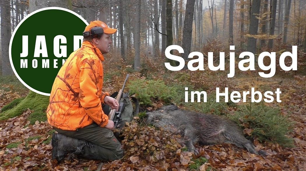 JagdMomente | Folge 5 | Drückjagd & Ansitz auf Sau & Reh im Herbst