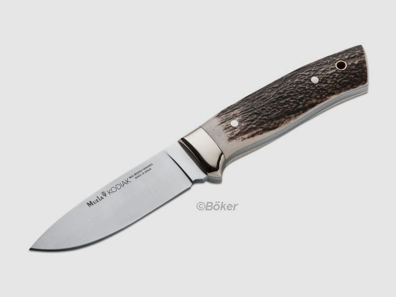 Muela Kodiak Stag
