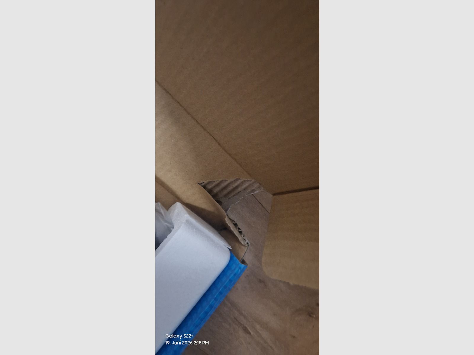 Hämmerli Hunter Force 900 Combo + spitze und flache Diabolo-Diabolos