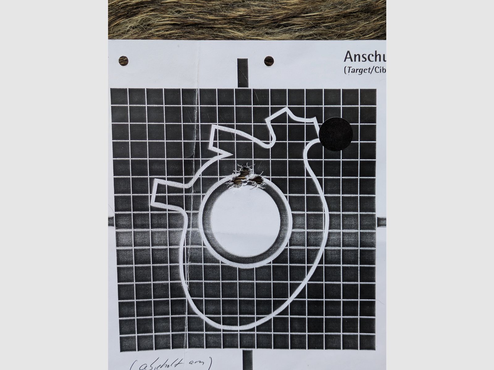 Weatherby Mark V (7 mm Magnum)