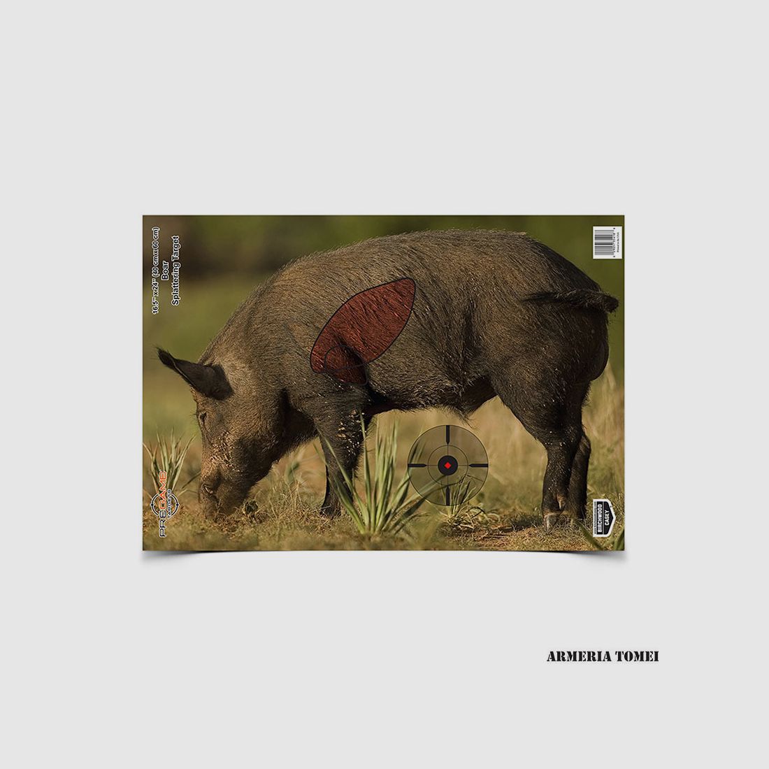 BIRCHWOOD – VISUAL TARGET WILD BOAR 40X60CM -3PCS