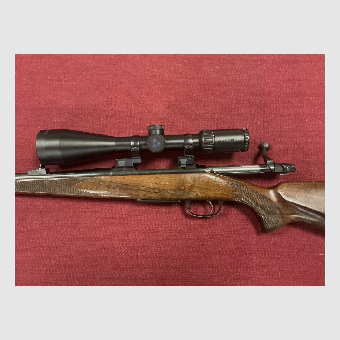 CZ 550