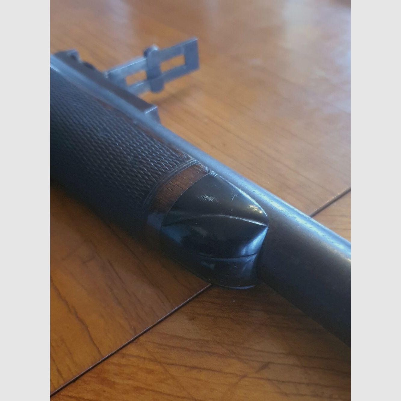 R. Sibbald Edimburgo Martini