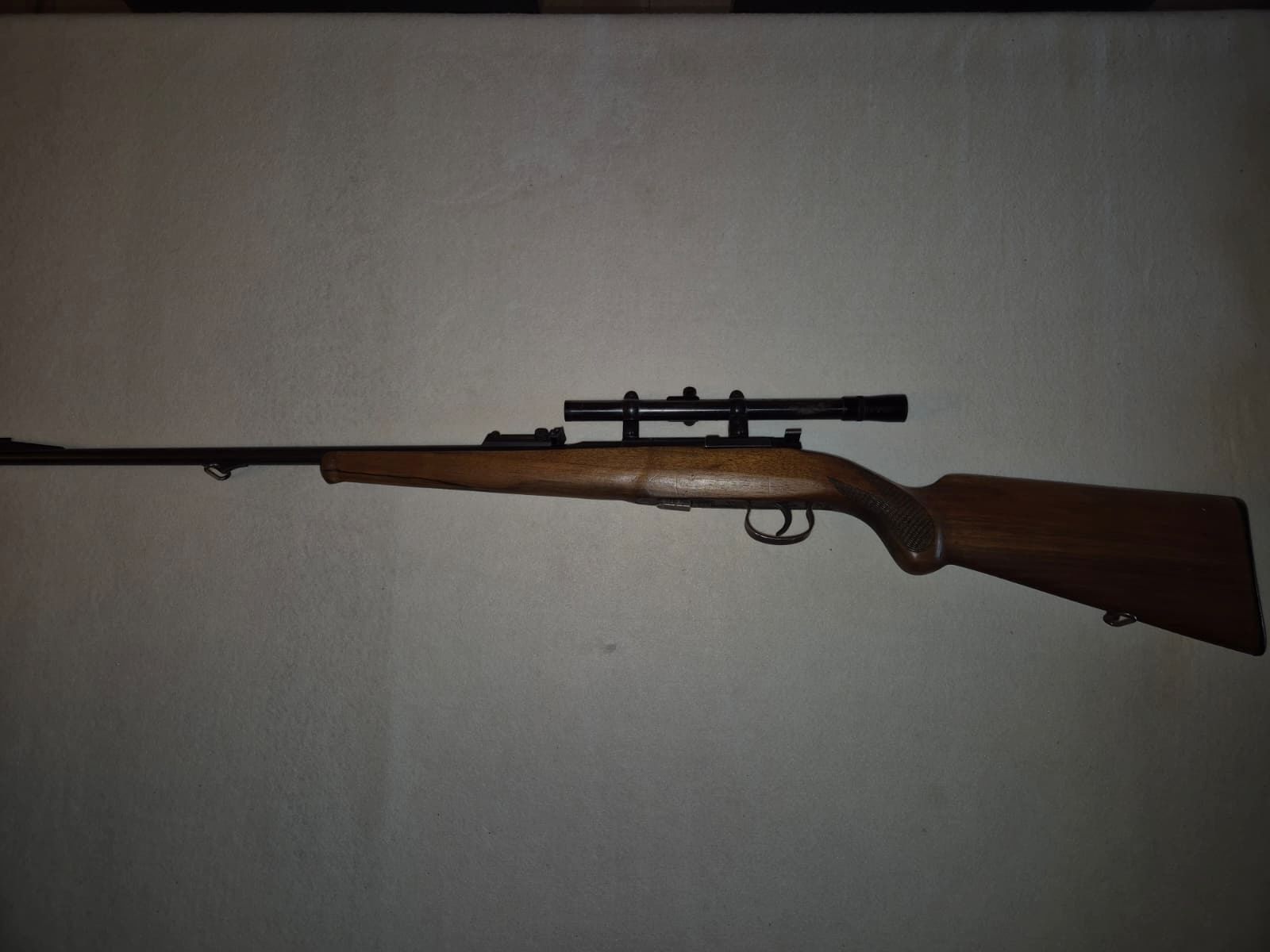 small caliber rifle