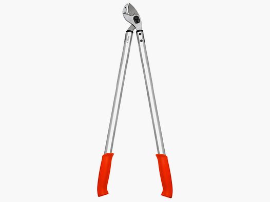 Cesoie per rami Amboss Lwe n. 22