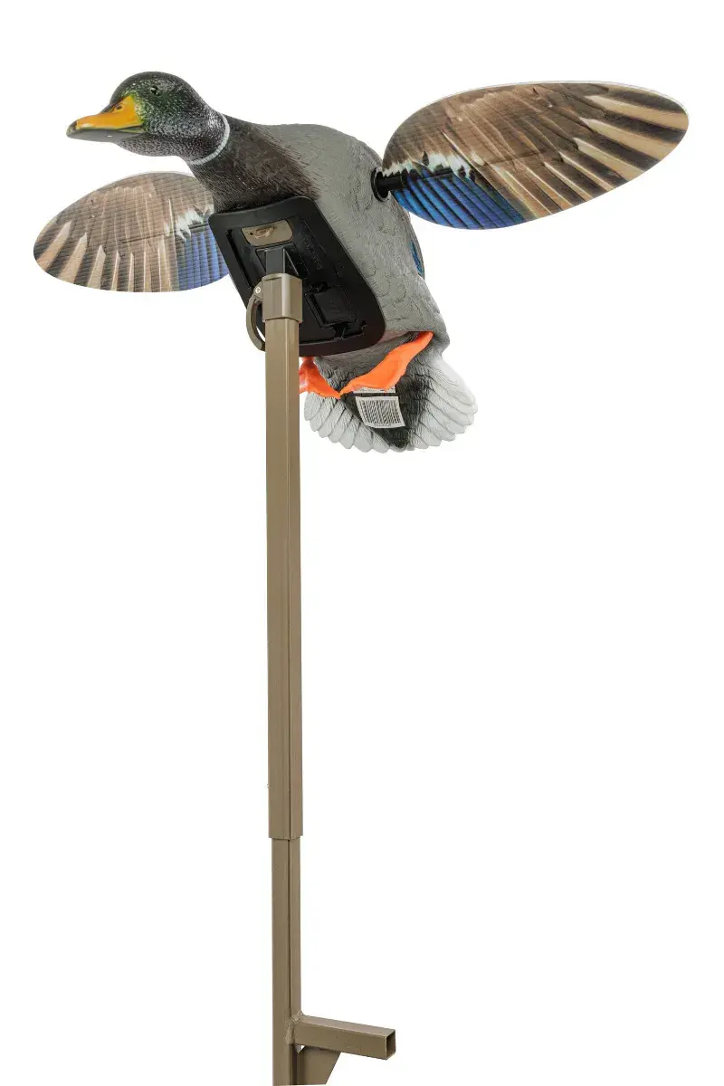 Elettronico Mojo Mini Mallard Elite Series con Ali Rotanti, immagine 6 di 16