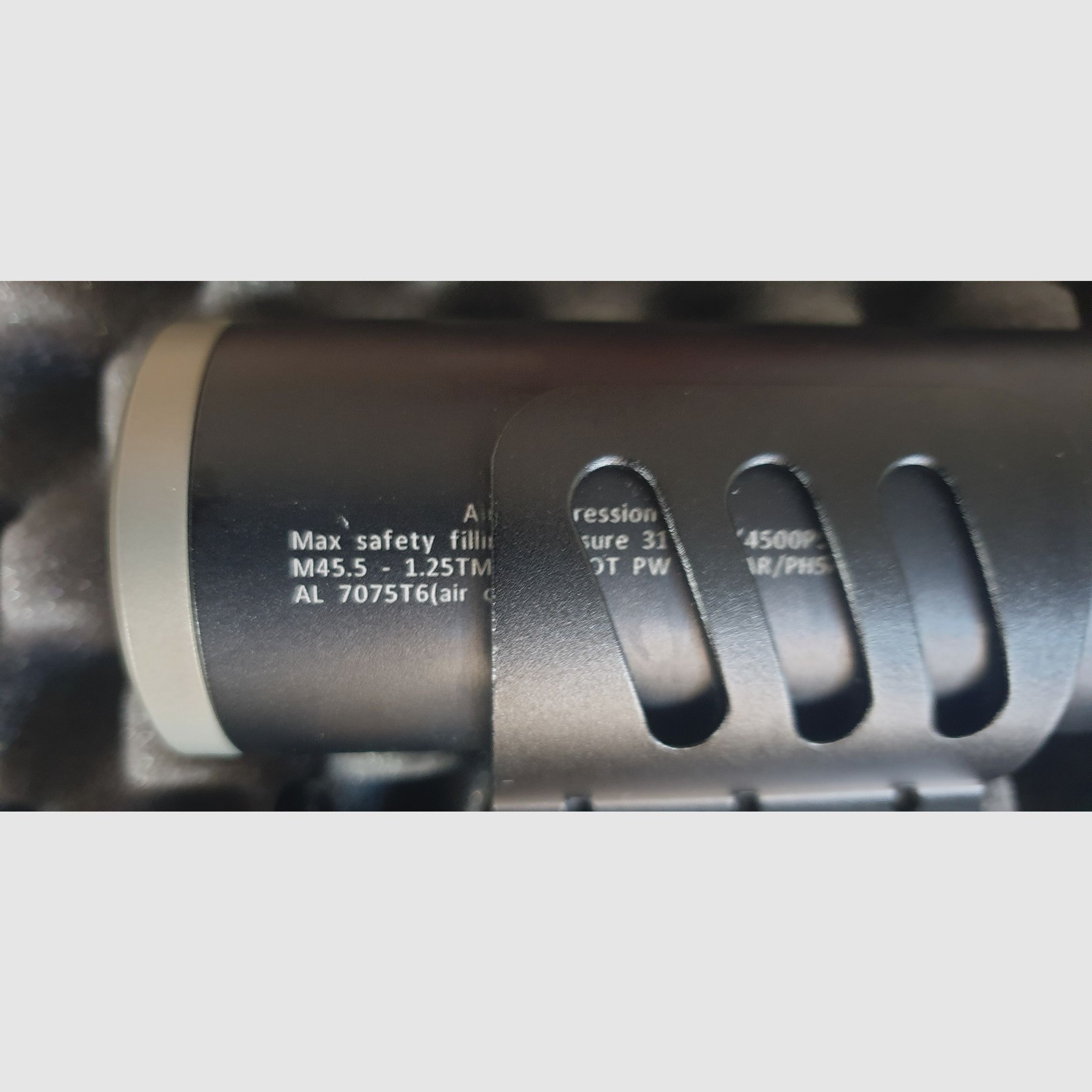 AEA MEGALODON with case and silencer