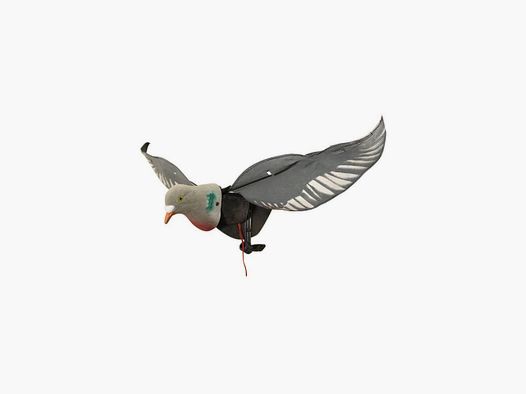 Hypaflap pigeon motorisé Sillosocks