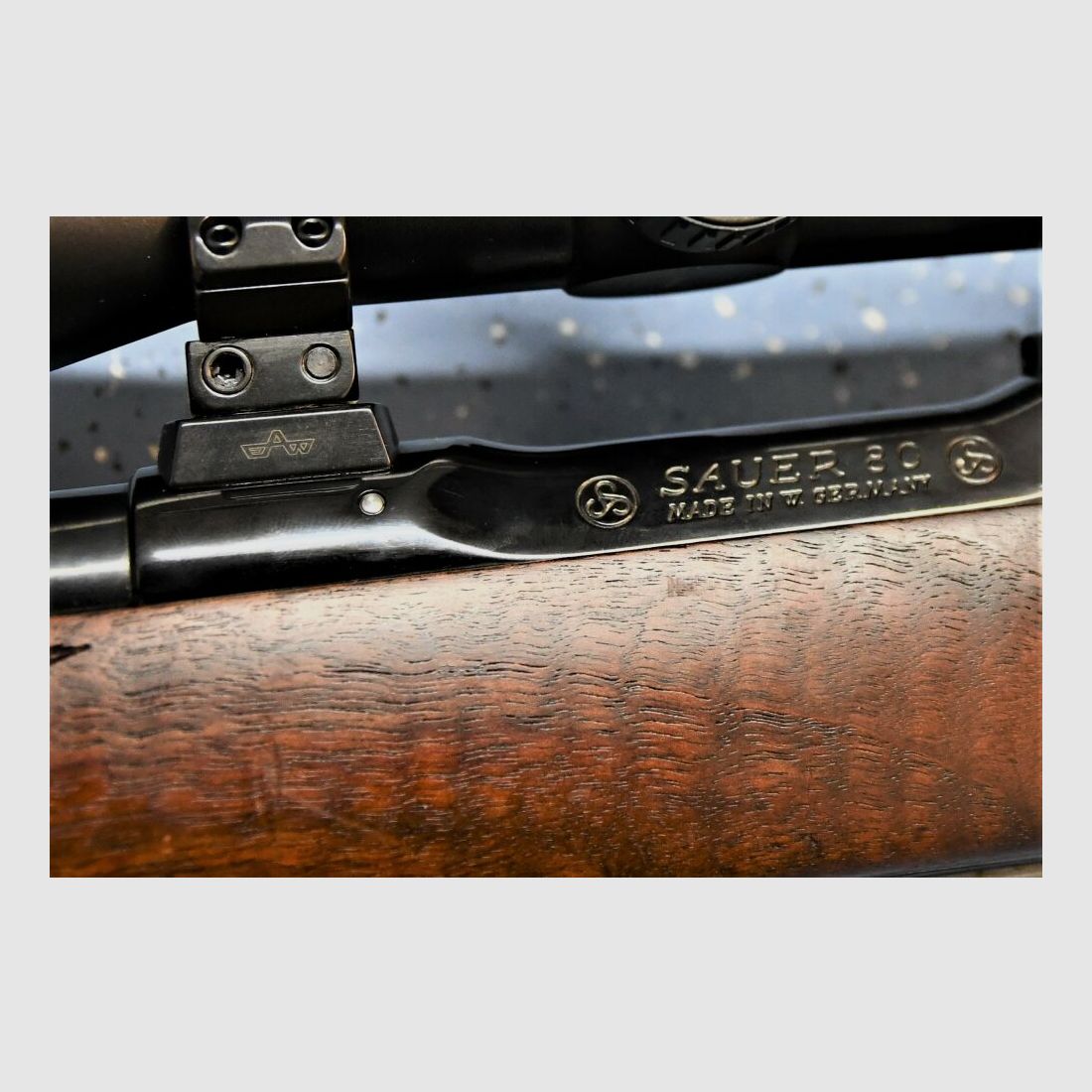 Sauer & Sohn mit Meopta ZF und EAW Montage	 Sauer 80