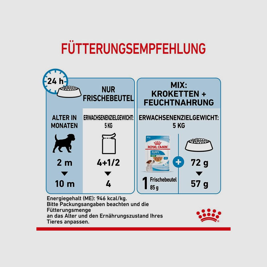 ROYAL CANIN Kleine Hunde Nassfutter Welpen bis zum 10. Monat 12x85 g