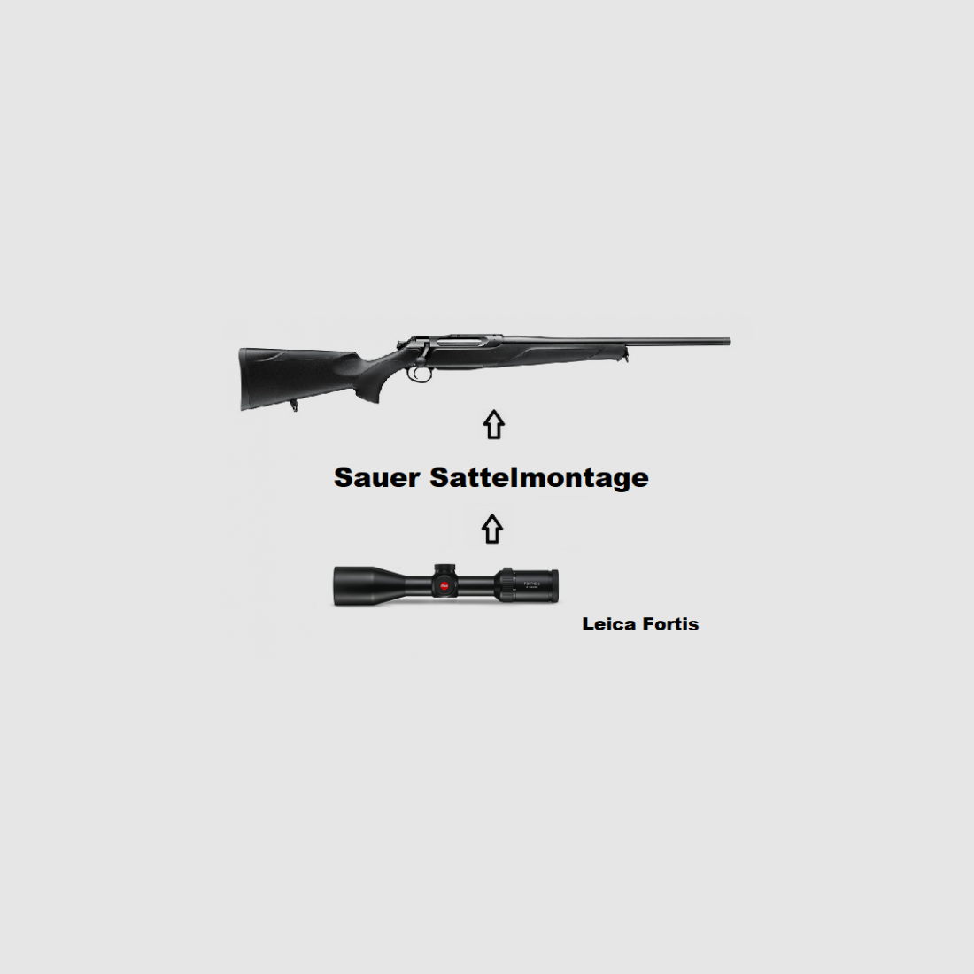 Sauer 505 ErgoMax Black + Leica Fortis + Montage + ... Pack Complet
