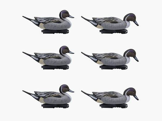 LIVE Pintail Floaters – 6 Pack