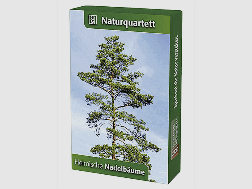 Quartetto della natura "Alberi di conifere"