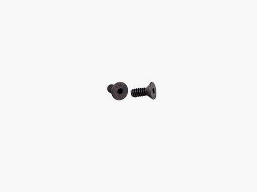 RMR/SRO Mount Screws Glock